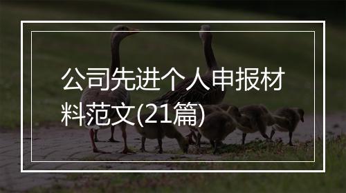 公司先进个人申报材料范文(21篇)