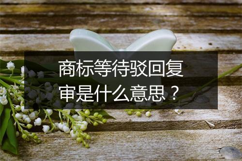 商标等待驳回复审是什么意思？