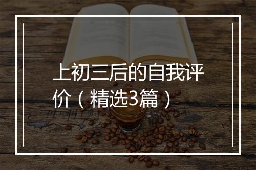 上初三后的自我评价（精选3篇）