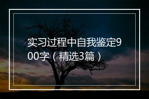 实习过程中自我鉴定900字（精选3篇）