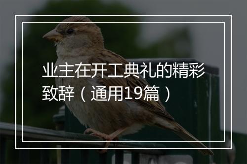 业主在开工典礼的精彩致辞（通用19篇）
