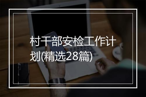 村干部安检工作计划(精选28篇)