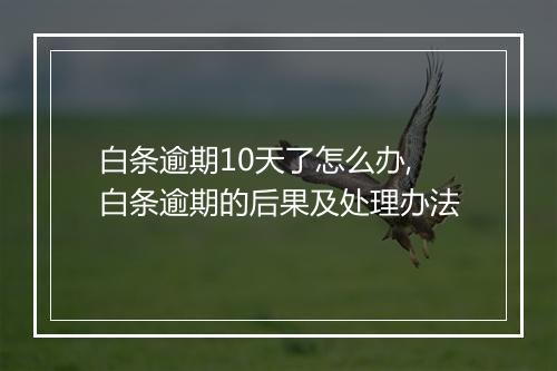 白条逾期10天了怎么办,白条逾期的后果及处理办法