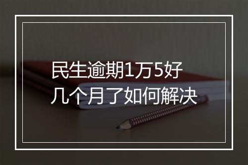 民生逾期1万5好几个月了如何解决