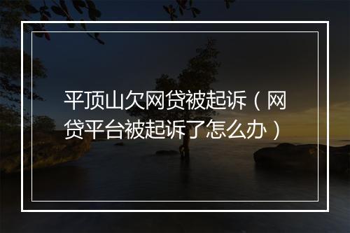 平顶山欠网贷被起诉（网贷平台被起诉了怎么办）