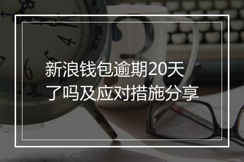 新浪钱包逾期20天了吗及应对措施分享