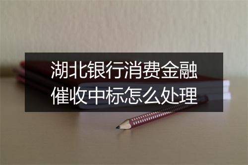 湖北银行消费金融催收中标怎么处理