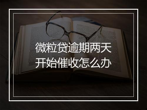 微粒贷逾期两天开始催收怎么办