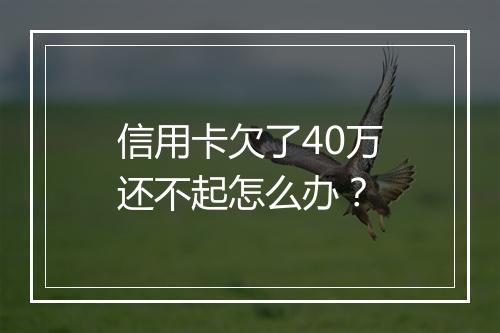 信用卡欠了40万还不起怎么办？