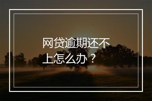 网贷逾期还不上怎么办？