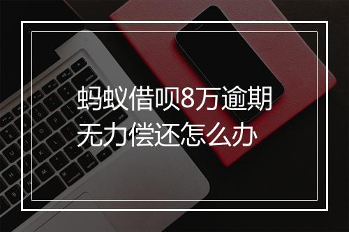 蚂蚁借呗8万逾期无力偿还怎么办