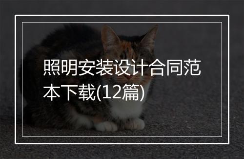 照明安装设计合同范本下载(12篇)