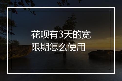 花呗有3天的宽限期怎么使用