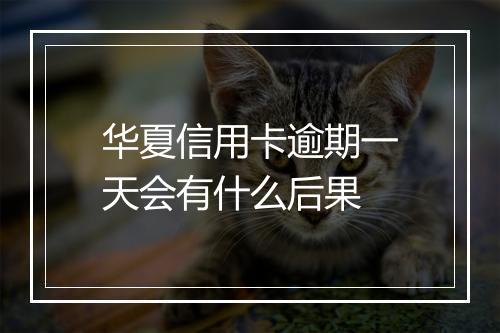 华夏信用卡逾期一天会有什么后果