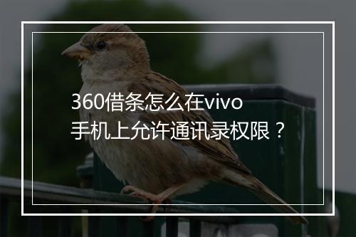360借条怎么在vivo手机上允许通讯录权限？