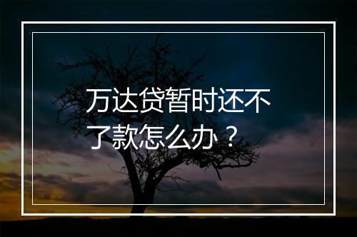 万达贷暂时还不了款怎么办？