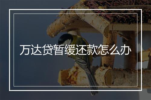 万达贷暂缓还款怎么办