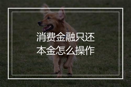 消费金融只还本金怎么操作