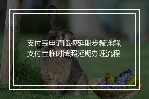 支付宝申请临牌延期步骤详解,支付宝临时牌照延期办理流程
