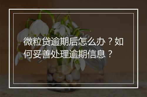 微粒贷逾期后怎么办？如何妥善处理逾期信息？