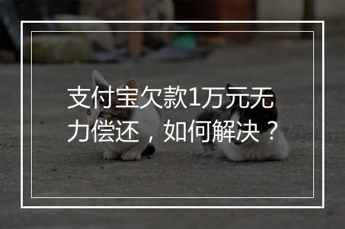 支付宝欠款1万元无力偿还，如何解决？