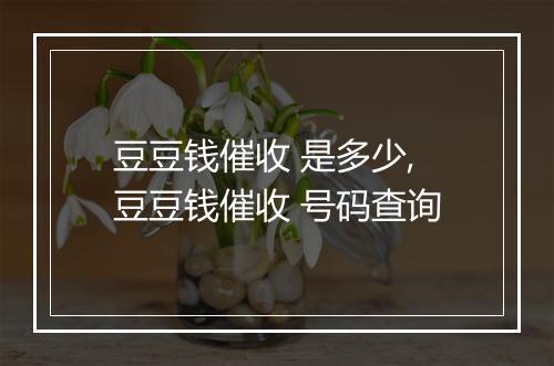 豆豆钱催收 是多少,豆豆钱催收 号码查询