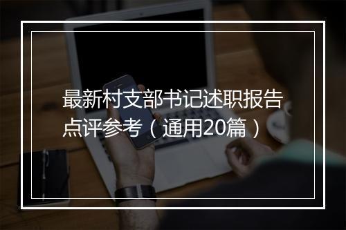 最新村支部书记述职报告点评参考（通用20篇）