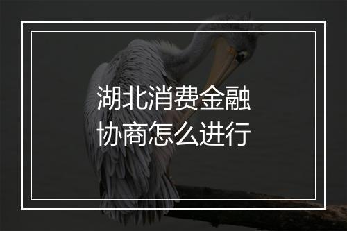 湖北消费金融协商怎么进行