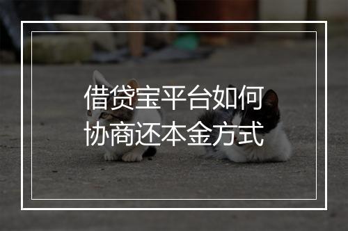 借贷宝平台如何协商还本金方式