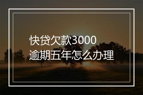 快贷欠款3000逾期五年怎么办理