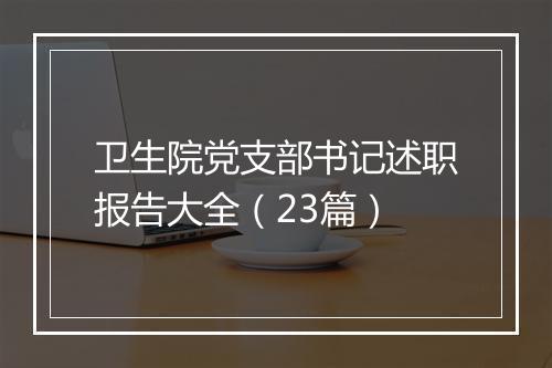 卫生院党支部书记述职报告大全（23篇）
