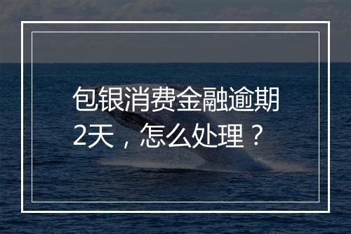 包银消费金融逾期2天，怎么处理？