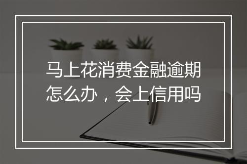 马上花消费金融逾期怎么办，会上信用吗
