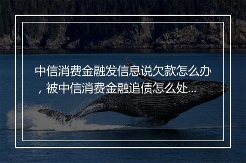 中信消费金融发信息说欠款怎么办，被中信消费金融追债怎么处理