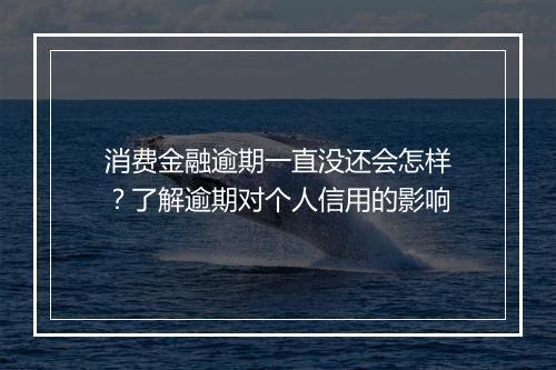消费金融逾期一直没还会怎样？了解逾期对个人信用的影响