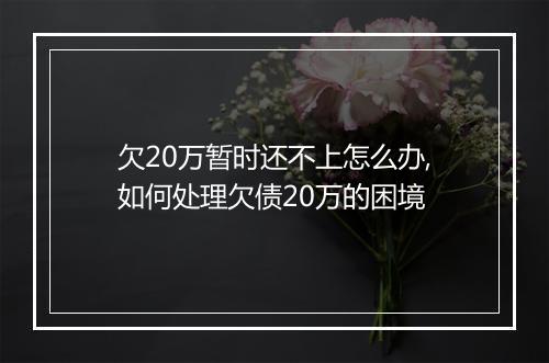 欠20万暂时还不上怎么办,如何处理欠债20万的困境