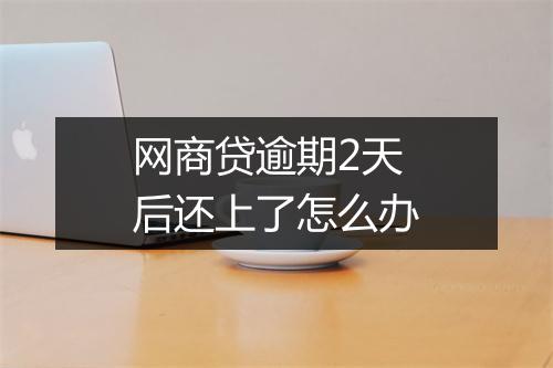 网商贷逾期2天后还上了怎么办