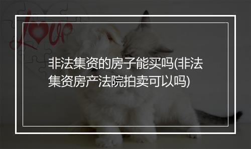 非法集资的房子能买吗(非法集资房产法院拍卖可以吗)