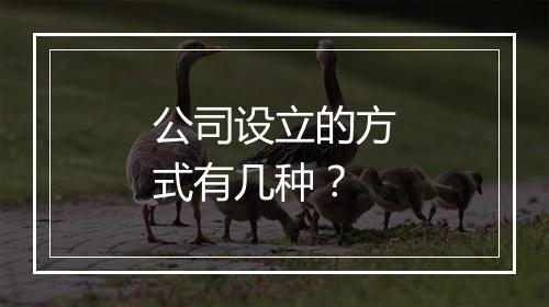 公司设立的方式有几种？