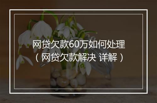 网贷欠款60万如何处理（网贷欠款解决 详解）