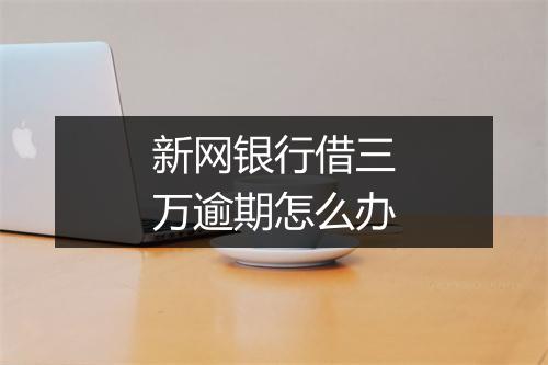新网银行借三万逾期怎么办