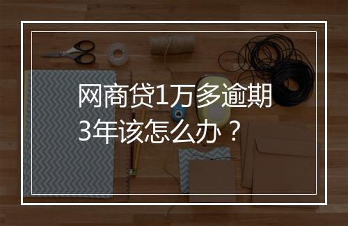 网商贷1万多逾期3年该怎么办？