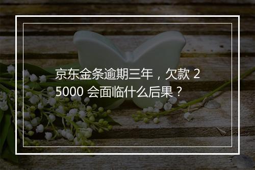京东金条逾期三年，欠款 25000 会面临什么后果？