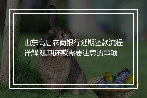 山东高唐农商银行延期还款流程详解,延期还款需要注意的事项
