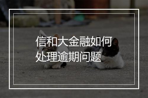 信和大金融如何处理逾期问题