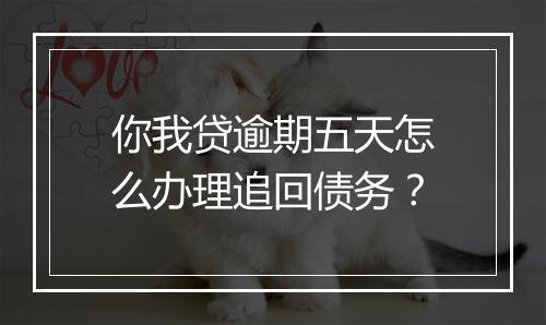 你我贷逾期五天怎么办理追回债务？