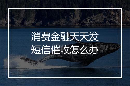 消费金融天天发短信催收怎么办