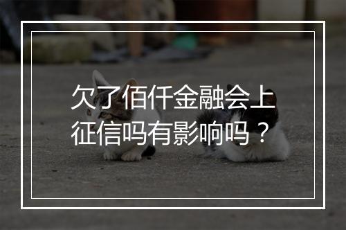 欠了佰仟金融会上征信吗有影响吗？