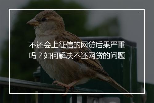 不还会上征信的网贷后果严重吗？如何解决不还网贷的问题