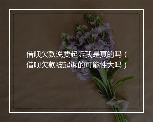 借呗欠款说要起诉我是真的吗（借呗欠款被起诉的可能性大吗）